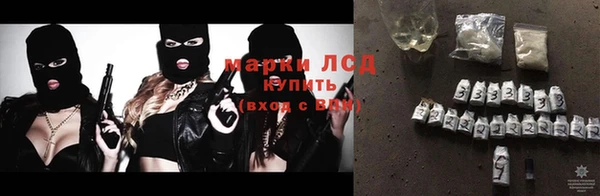 spice Богданович