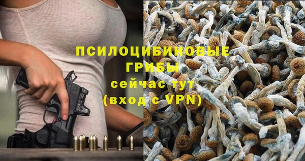 героин Богородицк