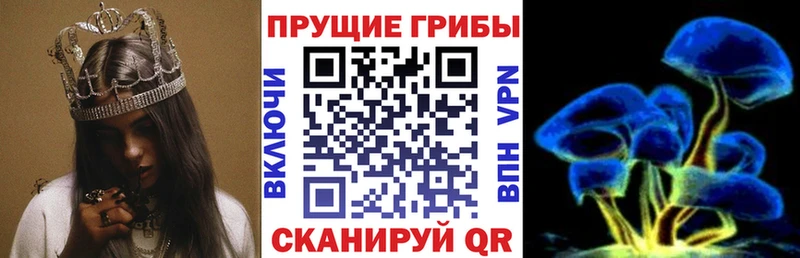 Псилоцибиновые грибы ЛСД  Вятские Поляны 