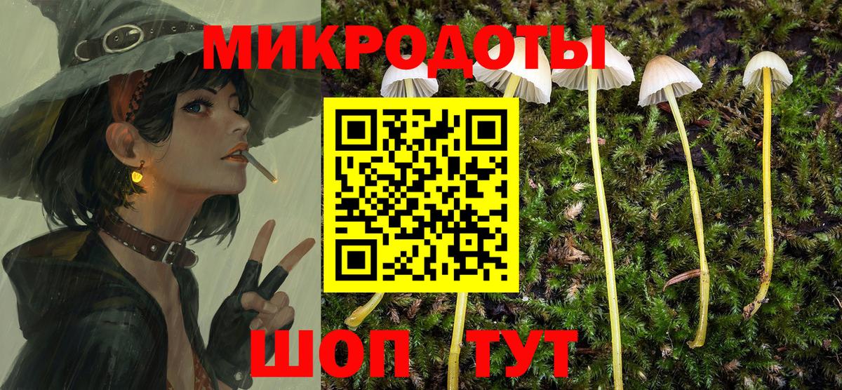 Вятские Поляны  Галлюциногенные грибы мицелий  Вход с VPN 